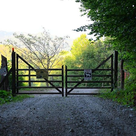 Eko Pony Ranch Ogrizek Lägenhet Podčetrtek Exteriör bild