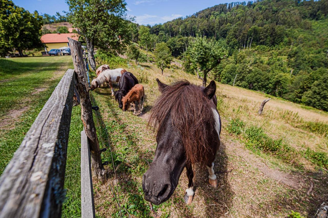 Eko Pony Ranch Ogrizek Lägenhet Podčetrtek Exteriör bild