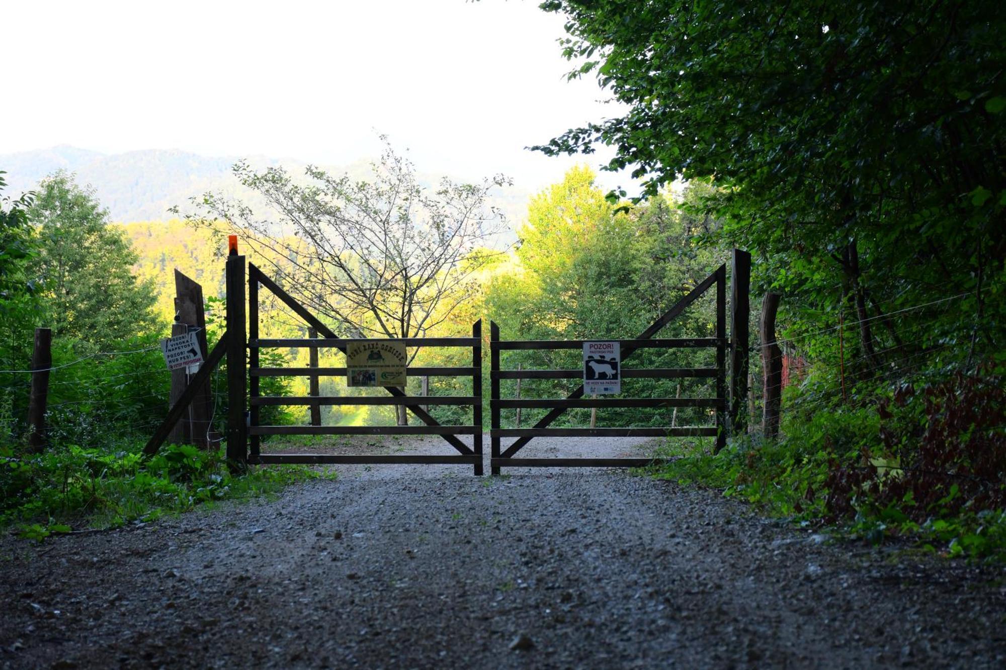 Eko Pony Ranch Ogrizek Lägenhet Podčetrtek Exteriör bild