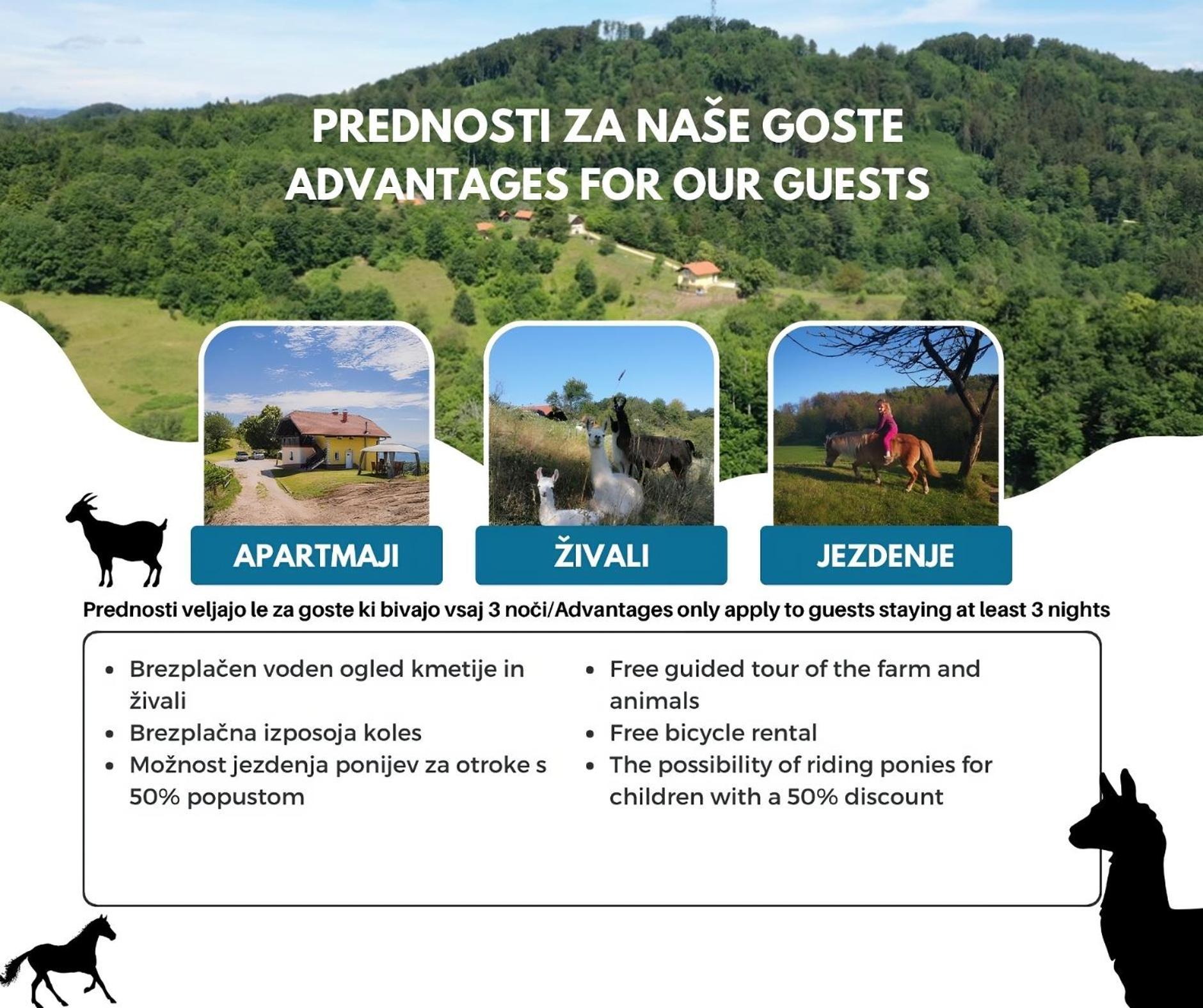 Eko Pony Ranch Ogrizek Lägenhet Podčetrtek Exteriör bild